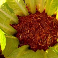 Geraspte courgette in een saus van pruimen, dadels en selderij, gegarneerd met romaine sla! Perfect! ❤