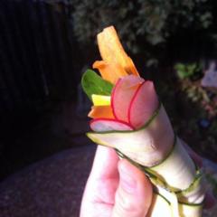 Courgette, veldsla, radijs, butternut, wortel loempia