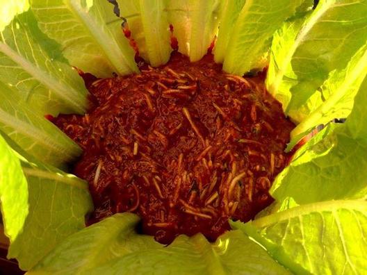 Geraspte courgette in een saus van pruimen, dadels en selderij, gegarneerd met romaine sla! Perfect! ❤