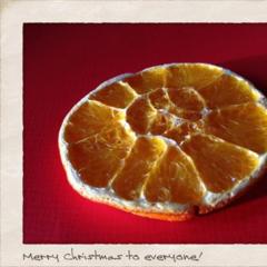 Fruitig Kerstmis aan iedereen! ❤☀